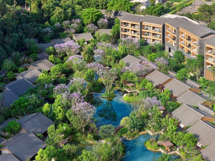 Banyan tree en Monte Emei