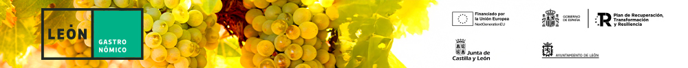 banner premium 1